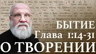 Бытие. Глава 1:14-31
