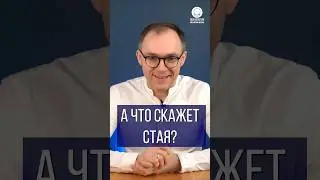А что скажет стая?