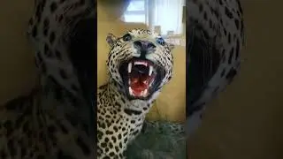 мы в музее