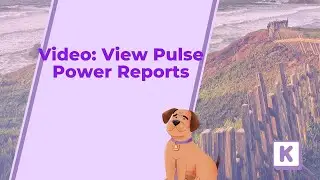 Video:  How to View Pulse Power Reports