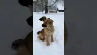 ОПЯТЬ МЕТЕЛЬ