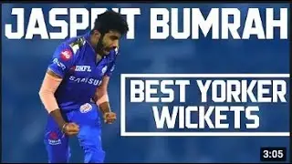 Jasprit Bumrah Best Yorker Wickets   Bumrah Bowling   Yorker King   Boom Boom Bumrah🔥🔥