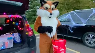 Fursuiting on Halloween, Fursuit Halloween trunk or treat