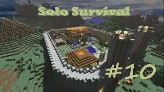 Solo Survival #10 - Raising those walls.