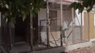 Promo Finca en Gualchos, Costa Tropical GRANADA. [4K]