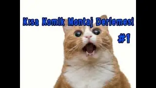 Kısa Komik Montaj Derlemesi #1