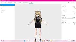 VRoid and VSeeFace Tutorial