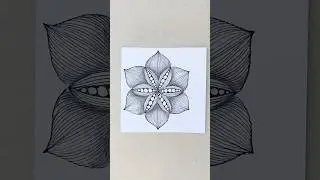 Meditative Drawing. #zentangle #shorts @OlyashaArt