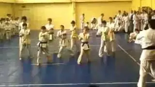 КИОКУСИНКАЙ