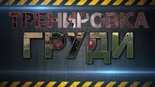 Тренировка Груди На Массу Для Подростков и Взрослых! / 🌟 / U=Star Workout