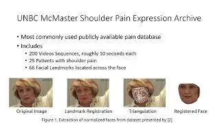 Automated Pain Assessment using Video Masked Autoencoder Architecture | Tristram Dacayan