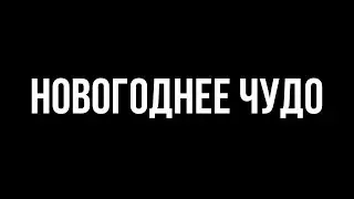 НОВОГОДНЕЕ ЧУДО