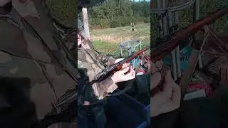 Отстрел патронов 410 кал. в латунной гильзе 410*50 от TuLAmmo