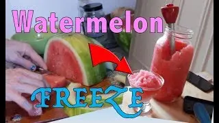 All Natural Frozen Watermelon Spritzer