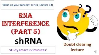shRNA mechanism | short hairpin RNA | small hairpin RNA | Gene silencing technique | Gene knockdown