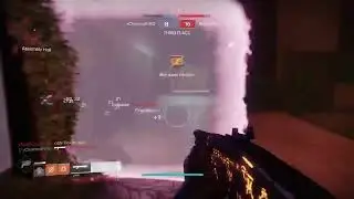Quests and Crucible - Destiny 2