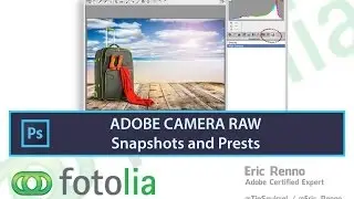 ACR Presets and Snapshots
