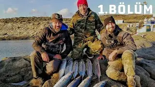 THIS PLACE IS SWIMMING WITH FISH!! PART 1 (We Camped, Snatched Giants from the Shore, and Caught ...