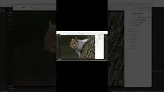 Flip Your Images using Python | PySeek | 