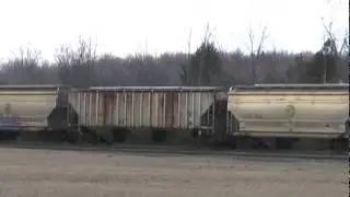 NS salt