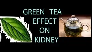Effect of GREEN TEA on KIDNEYS