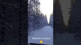 Зимняя сказка