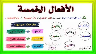 الأفعال الخمسة ـ و علامات إعرابها ـ سلسلة تعلم الإعراب 24