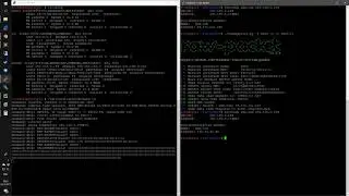 Dnsmasq leak DNS cache