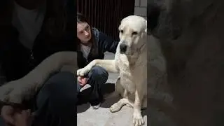 ЛЕНЬ ВОЗВРАЩАЕТСЯ