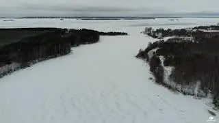 НГ 2020