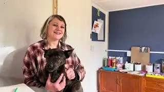 Untapped Art Therapy - Everything Dorset