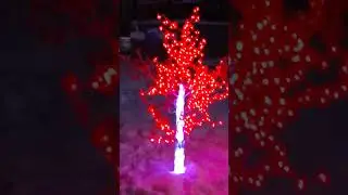 24 февраля 2023 г.
