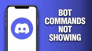 How To Fix And Solve Discord App Bot Commands Not Showing - Final Solution