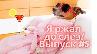 Я ржал до слез! Выпуск #5 | Самые свежие приколы за Январь 2021