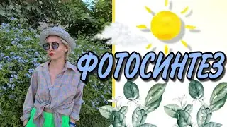 ФОТОСИНТЕЗ//ПОДРОБНЫЙ РАЗБОР/ФАЗЫ/ФОТОЛИЗ/ЦИКЛ КАЛЬВИНА