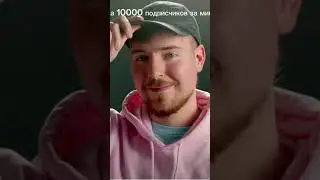 24 августа 2024 г.