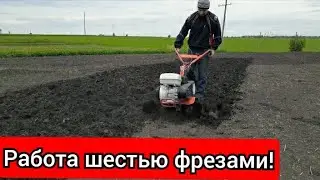 Мотоблок Агат. Работа шестью фрезами!