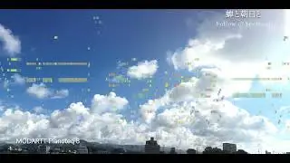 蝉と朝日と