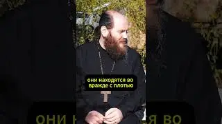 Священник и воздержание  #интервью #юмор  #психология  #джарахов #амирансардаров #павелостровский