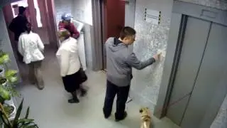 Мужчина спас собаку 2017 Герой Красава