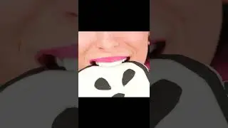 Собачий блин