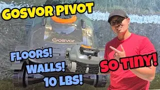 Gosvor Pivot Review
