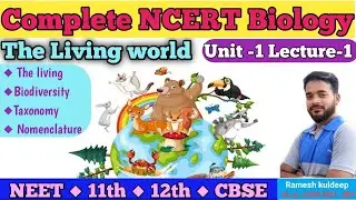 The living World Biodiversity taxonomy NCERT Biology NEET Biology CBSE 11th class Unit 1 Lecture 1