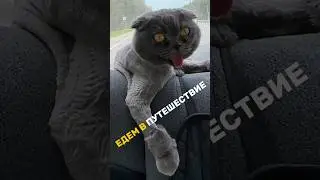 КСЮША ЕДЕТ В ПУТЕШЕСТВИЯ 🧳🤣