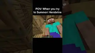 Minecraft Meme