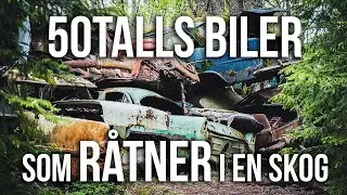 Sjekker ut bilkirkegård i Sverige med Joakim Ottersen - TvBoden og svenskehandel here we go!