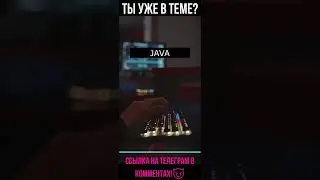 Какой язык программирования учить?😈