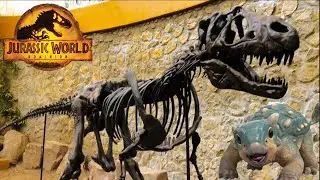 BUMPY VISITA UN MUSEO DE DINOSAURIOS!!!