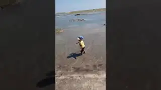 Dede reza