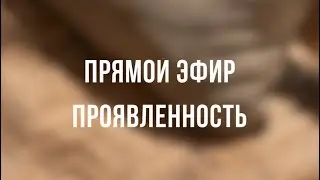 Что такое проявленность?